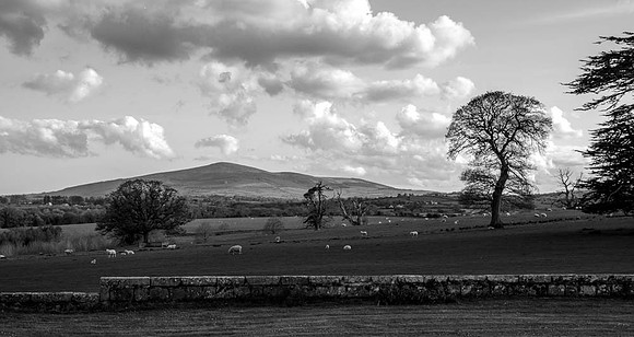 Carlow collection Mount Leinster view BW