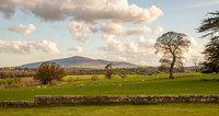 Carlow collection Mount Leinster view