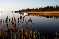 Cavan collection Lough Ramor Lurgan Glebe Virginia April 006