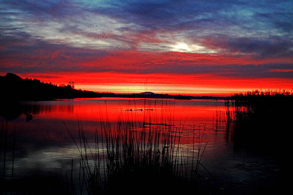Cavan collection Lough Ramor Lurgan Glebe Virginia Jan 2011 008A