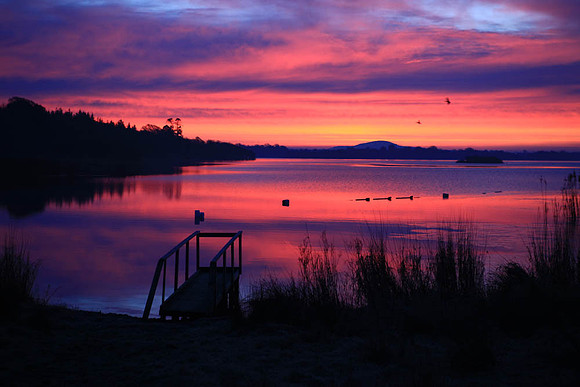 Cavan collection Lough Ramor Lurgan Glebe Virginia Jan 2011 018
